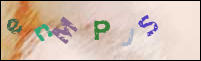 Registration Image