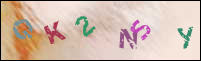 Registration Image