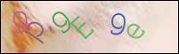 Registration Image