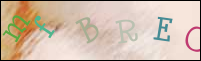 Registration Image