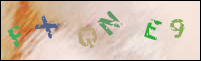 Registration Image