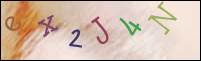 Registration Image