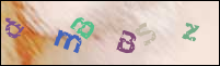 Registration Image