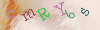 Registration Image
