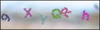 Registration Image