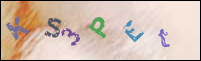 Registration Image