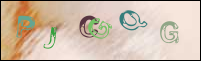Registration Image