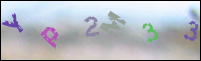 Registration Image