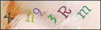 Registration Image