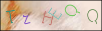 Registration Image