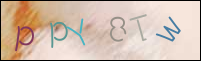 Registration Image
