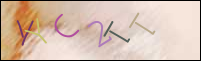 Registration Image