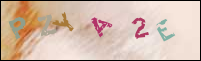 Registration Image
