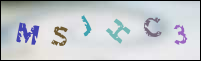 Registration Image