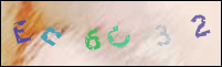 Registration Image