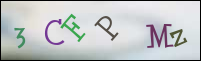 Registration Image
