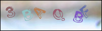 Registration Image