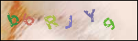 Registration Image