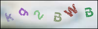 Registration Image