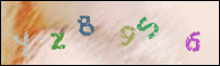 Registration Image