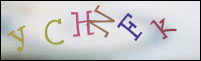 Registration Image