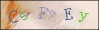 Registration Image