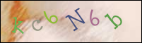 Registration Image