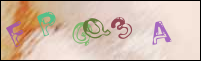 Registration Image