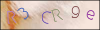 Registration Image