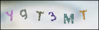Registration Image
