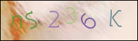 Registration Image