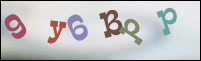 Registration Image