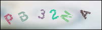Registration Image
