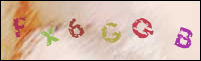 Registration Image