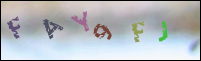 Registration Image