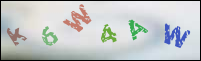 Registration Image
