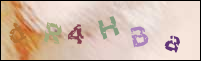 Registration Image