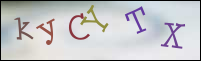 Registration Image