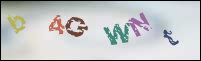 Registration Image