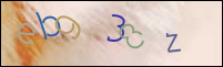 Registration Image