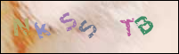 Registration Image