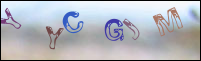 Registration Image