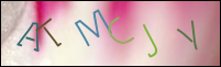 Registration Image