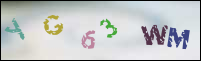 Registration Image