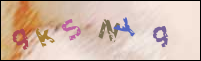 Registration Image