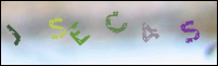 Registration Image