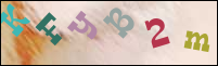 Registration Image