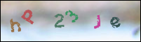 Registration Image