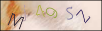 Registration Image