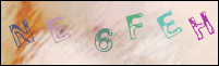Registration Image